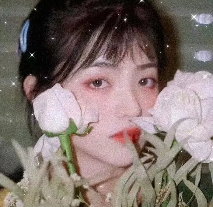 赤子情未了 高清封面