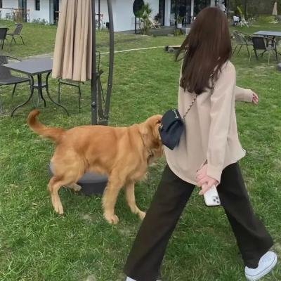 陀枪师姐3 高清封面